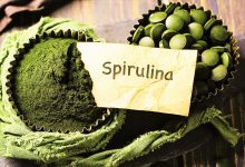  Al via in Sardegna la produzione dell’alga spirulina