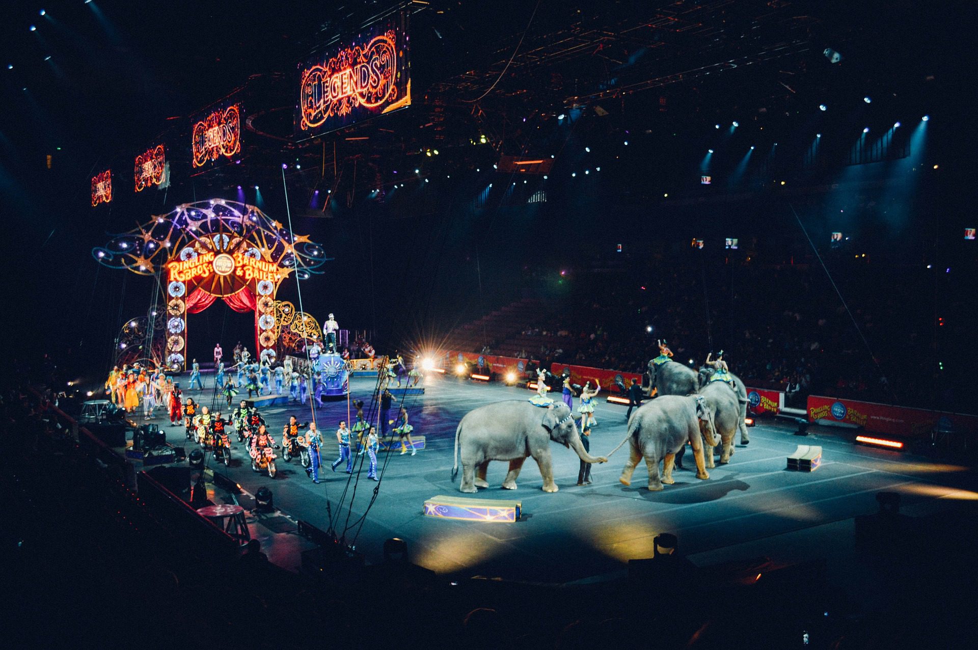 Circo con animali