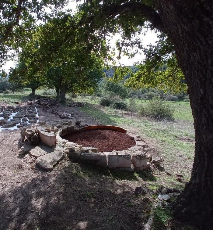  Archeologia, eccezionale ritrovamento nel nord Sardegna