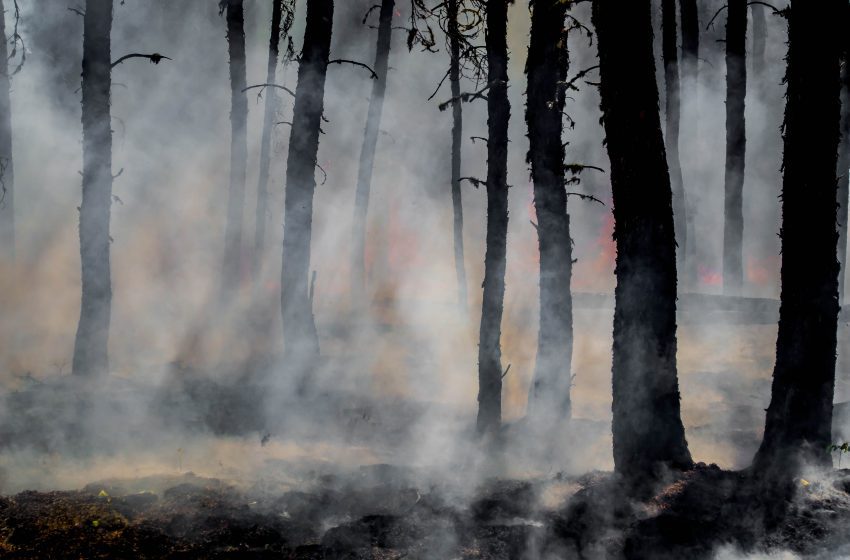  Sassari – Il sindaco Nanni Campus firma l’ordinanza antincendio