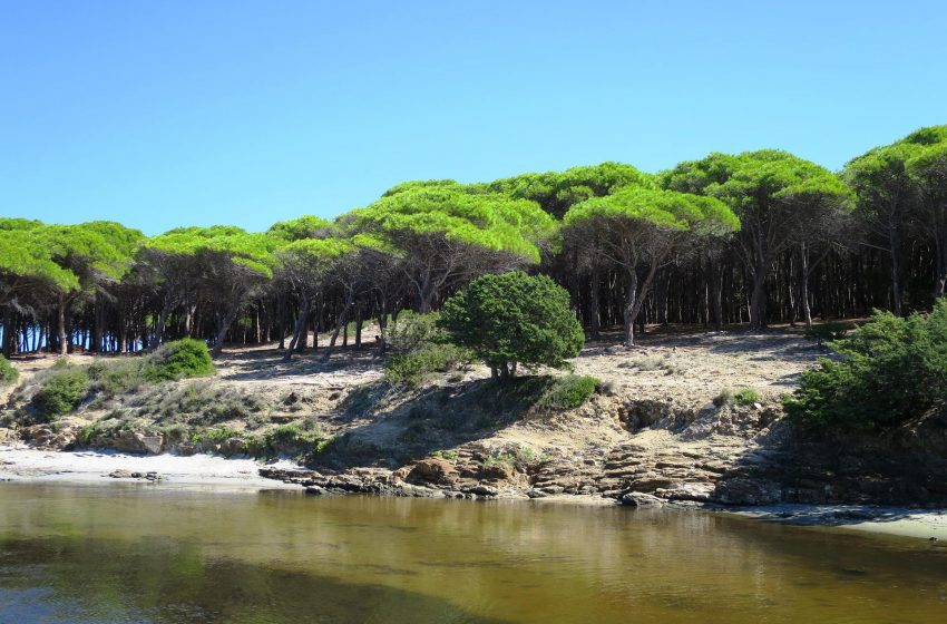  15 località della Sardegna sventolano la Bandiera Blu