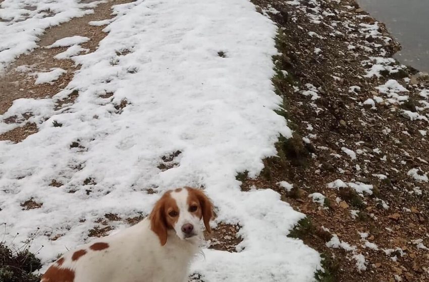  Prima neve di stagione in Sardegna