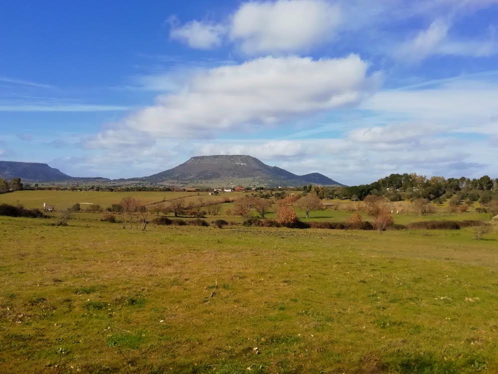 Monte Santo Mejlogu