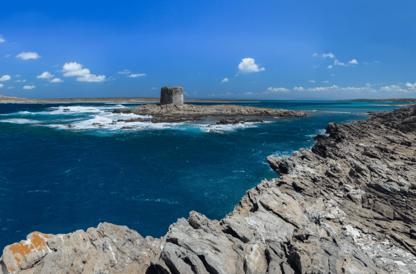  In Sardegna la penultima tappa della campagna Life A-Mar