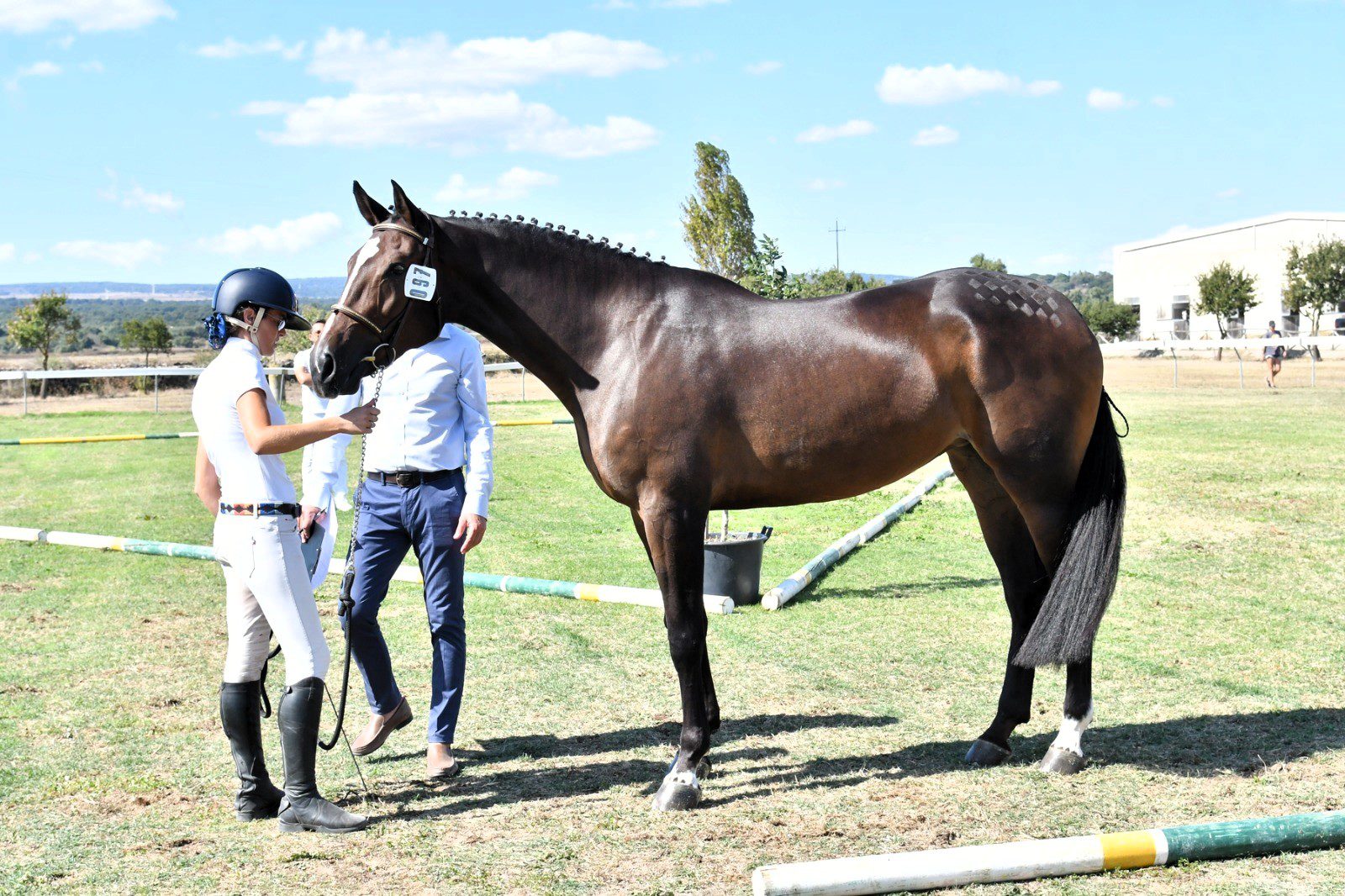 Abbasanta - Kairi's Dream è il miglior cavallo di tre anni al 61° Premio Regionale Sardo