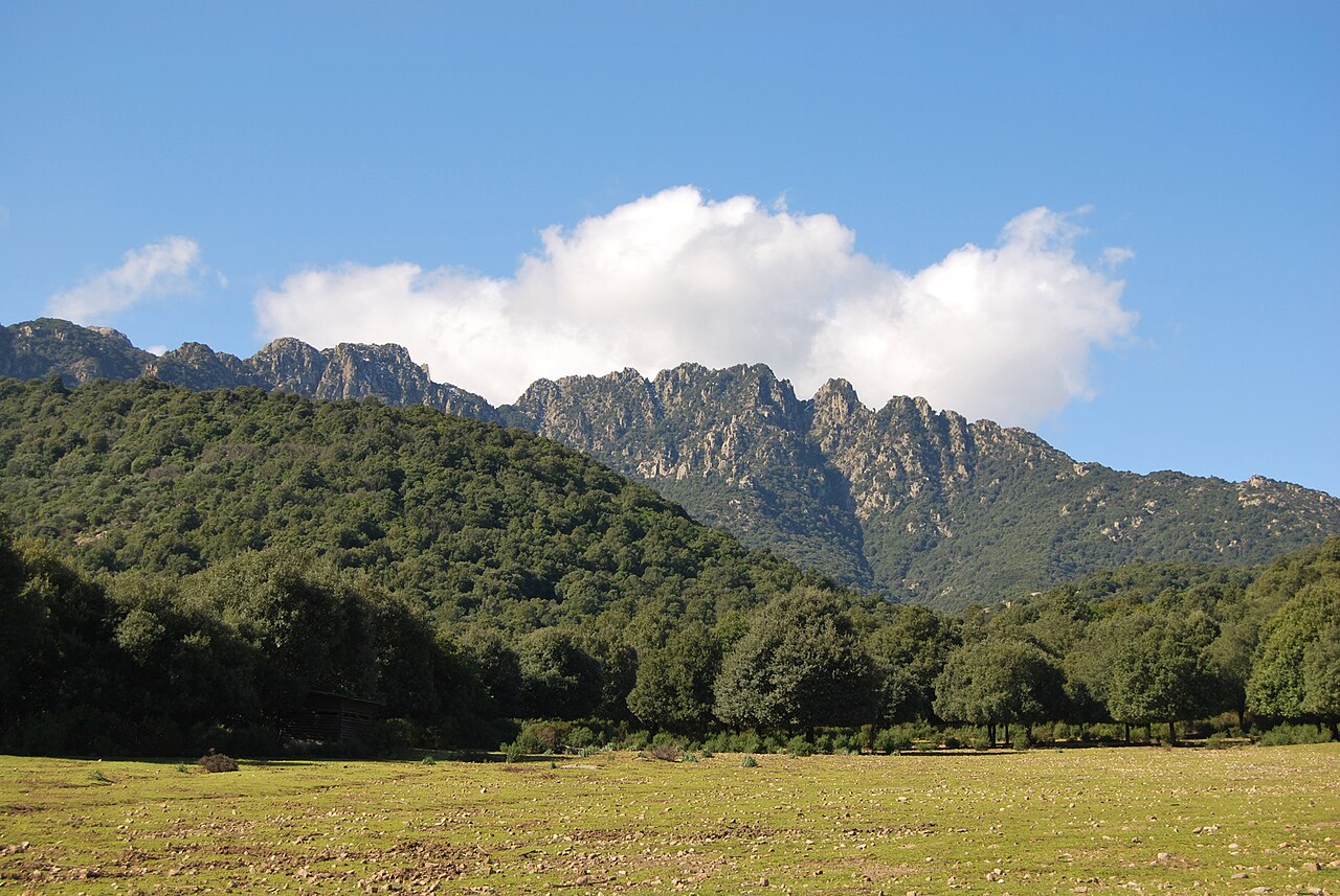 Monte Lattias presente dentro l'Oasi di Monte Arcosu