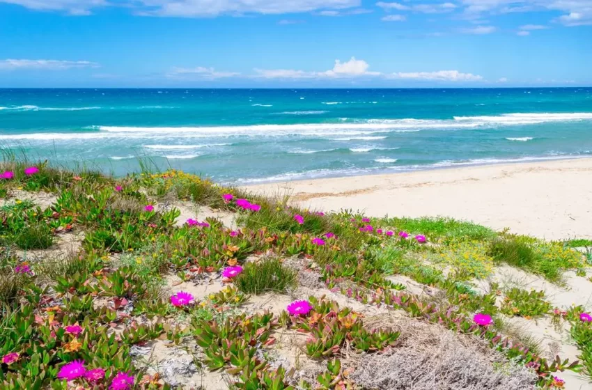  Sassari – Cinque spiagge accessibili a chiunque