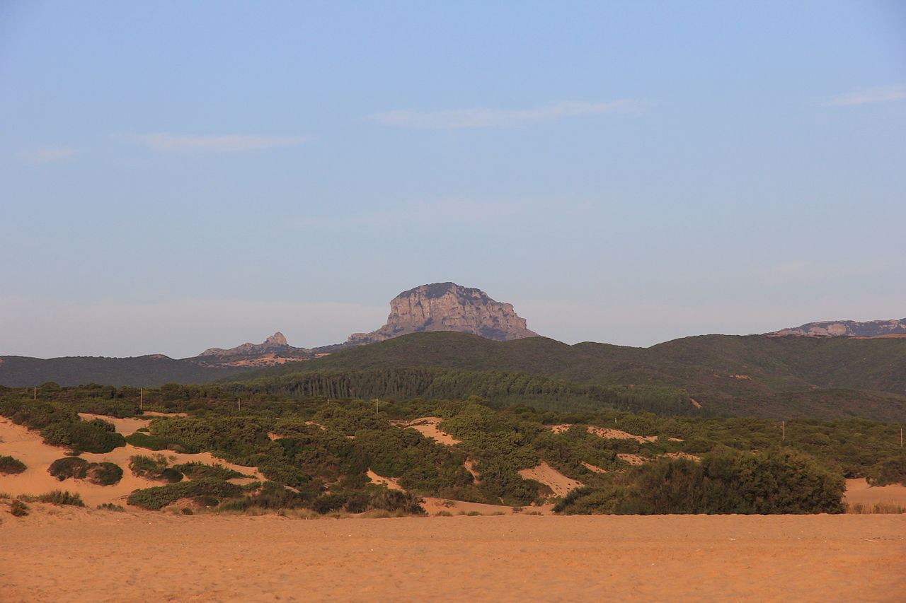 Monte Arcuento Arbus